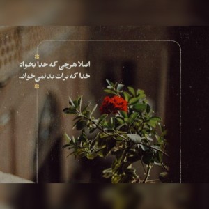 تست عکس دخترونه:)p14✨