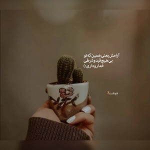 تست عکس دخترونه:)p15✨