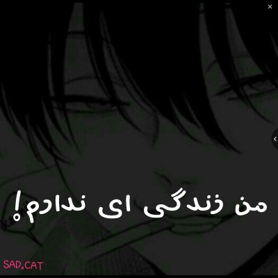 کاور