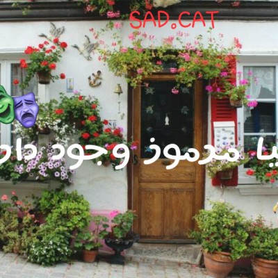 کاور