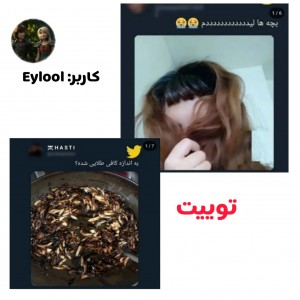 کاور
