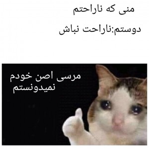 عکس Meme(5)