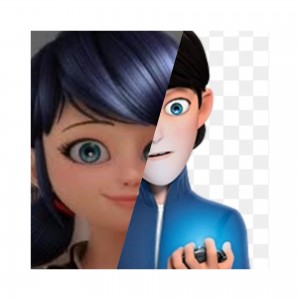 تست شباهت مرینت با جیم