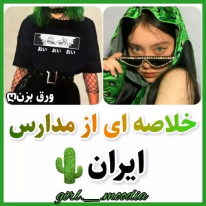 خلاصه ای از مدارس ایران 🌵