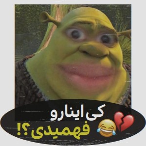 تست کی اینارو فهمیدی.....! ﻿﻿﻿﻿﻿﻿
