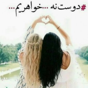 پیج کدوم بهتره؟