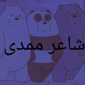 تست مصاحبه با کاربر شاعر ممدی