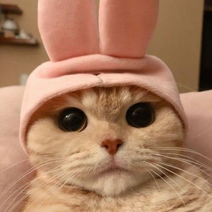 شخصیت درونت