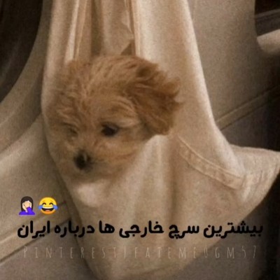 سرچ خارجی ها درباره ایران