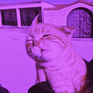 کاور