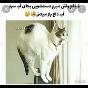 خنده ضربدر دو