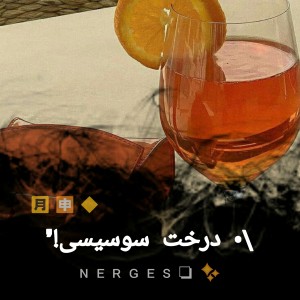 عکس \• درخت سوسیسی!`