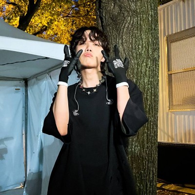 فستیوال lollapalooza