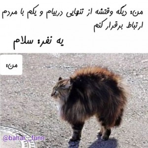 میم در حد مرگ:) part 9