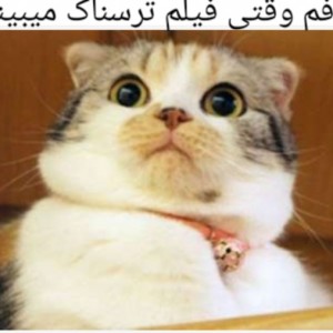 کاور