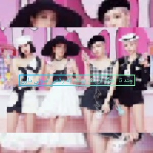 🤍🌸🤍🌸🤍🌸