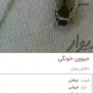 عکس آگهی های سمی😀😂