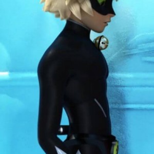 🐾کت نوار 🐾