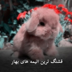 قشنگترین انیمه های بهار⚖️💕