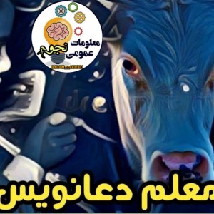 کاور