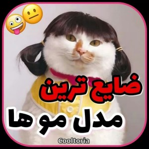 عکس ضایع ترین مدل موها💇👀