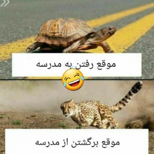 عکس خنده پارت دو😂