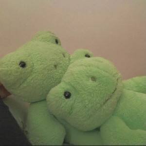 بهترین غذاهای ایرانی☘️💚