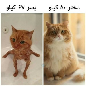 عکس خنده پارت ³😂