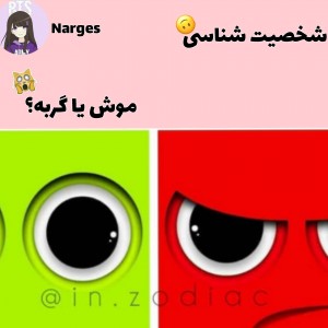 شخصیت شناسی گربه یا...😃🐱🐭