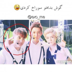 کاور