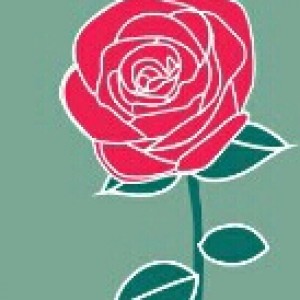 شخصیت شناشی از روی گل