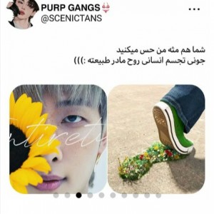کاور