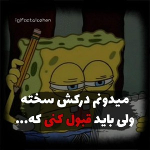 عکس باید‌قبول‌کنی🌸🫐