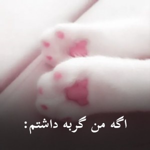 عکس اگه من گربه داشتم: