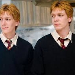 منطق یک ویزلی