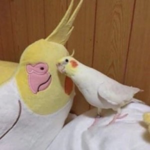 چقدر ماینکرافت رو می‌شناسی؟