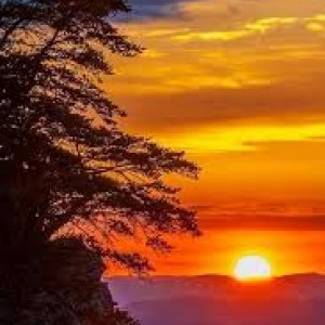 عکس اصطلاحات امروزی در گذشته