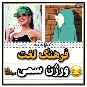 عکس فرهنگ‌لغت‌سمی😐🗿😂:]