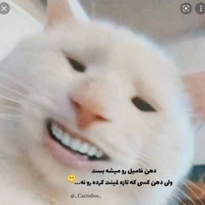 عکس بازم طنز😂