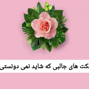 فکت های جالبی.....