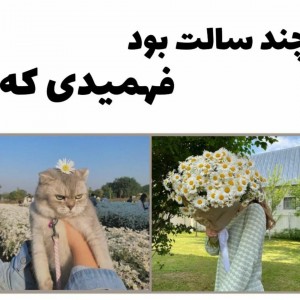 عکس چند سالت بود که فهمیدی...