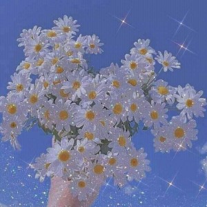 عکس کرانچ کیوت