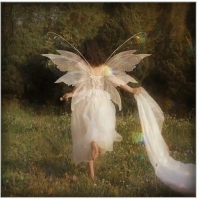 علایق‌درونگرا‌ها:)🤎🧸