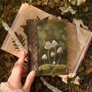 افسانه‌هایی‌ک‌باید‌بدونی🐻🎻