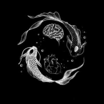 چیزهایی که باید رعایت کنی