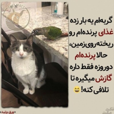کاور