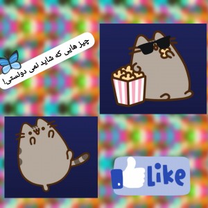 🥑دانستنی های جاب🥑