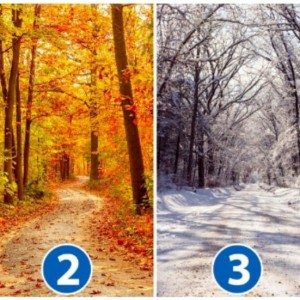 یکی از مسیرهارو انتخاب کن😐🎢