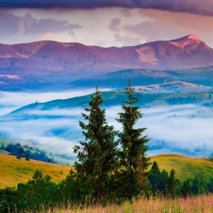 عکس اوتاکو ، آرمی و بلینک‌ ..