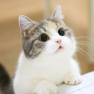 لباسم برای مهمونی کاربر parmis